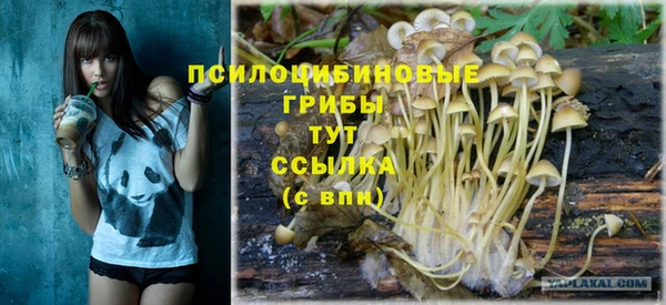 jwh Бугульма