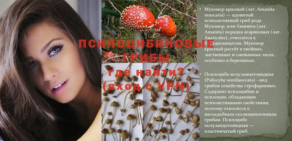 мескалин Бронницы