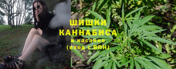 сатива Покровск