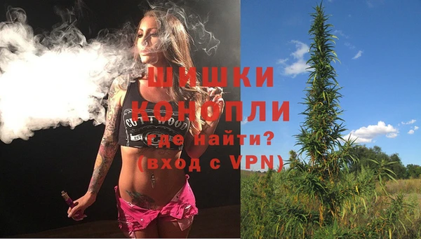 эйфоретик Бородино