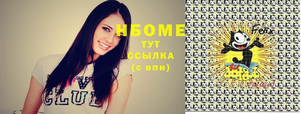 эйфоретик Бородино