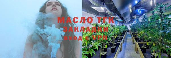 эйфоретик Бородино