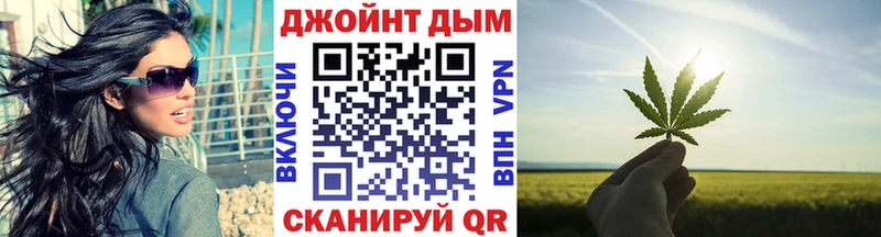 Шишки марихуана планчик  блэк спрут вход  Палласовка  что такое наркотик 